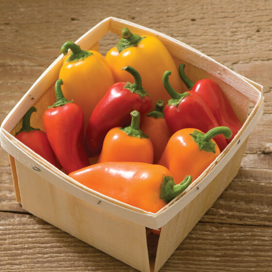 basket of mini peppers