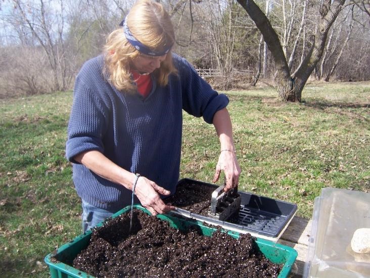 Suzie seed starting