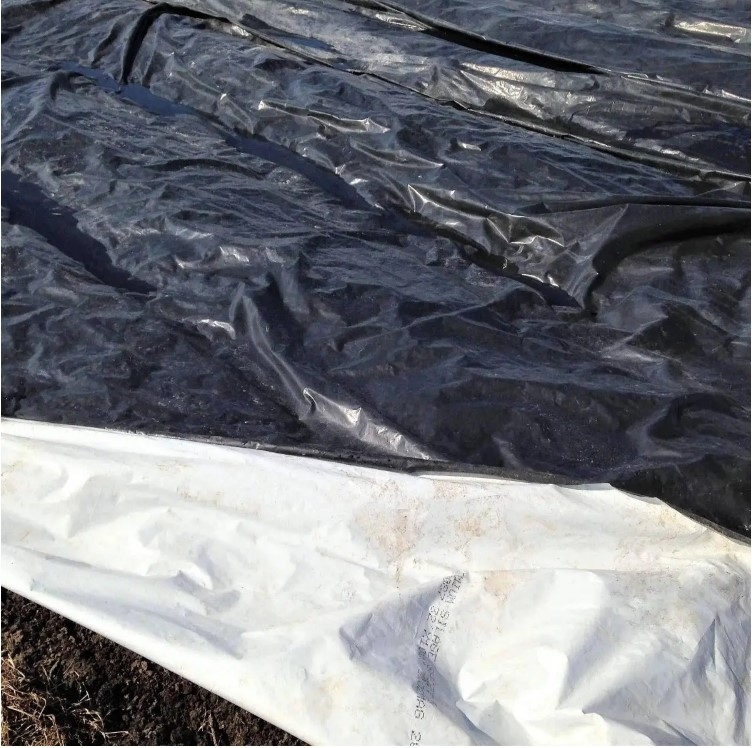 BF silage tarps